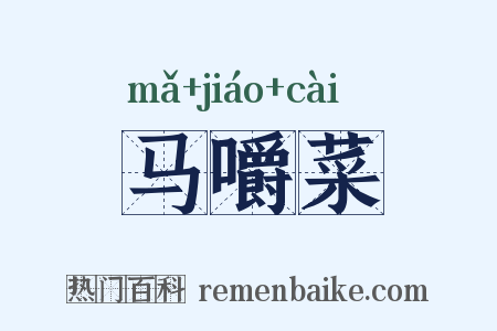 马嚼菜是什么意思的图片